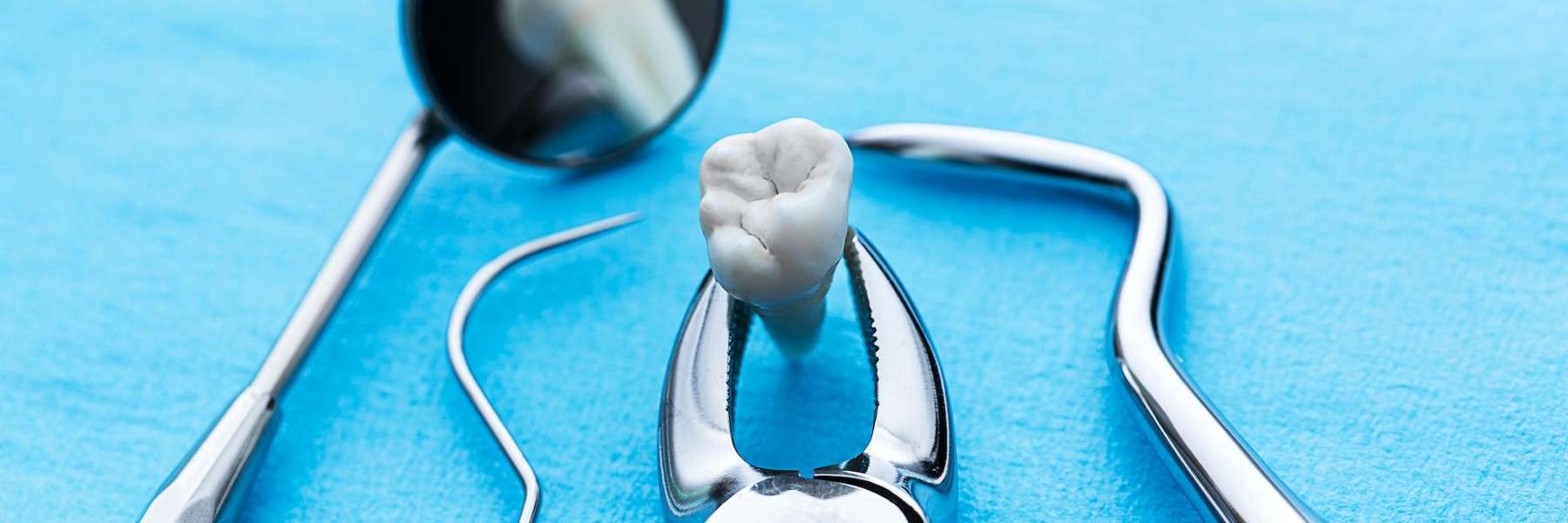 root canals arvada | A tooth next to dental tools